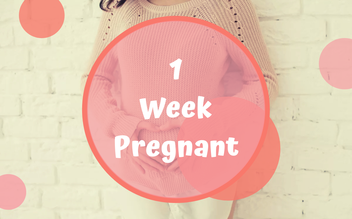 هفته اول بارداری