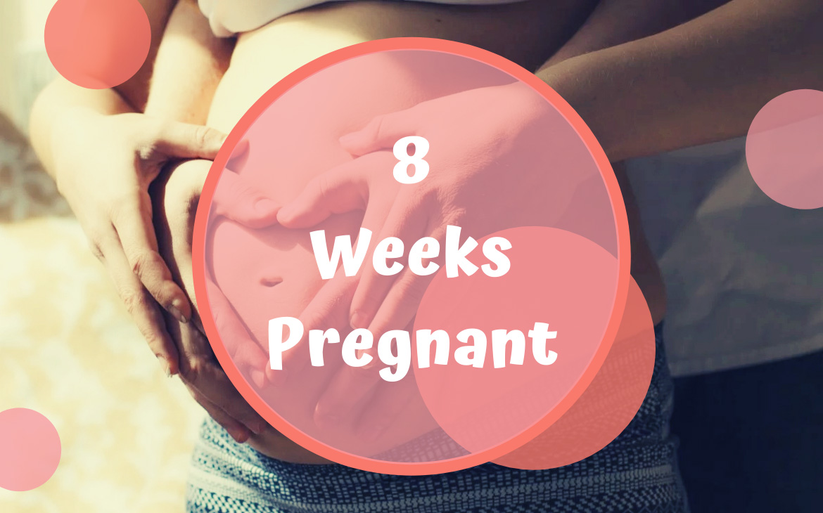 هفته هشتم بارداری