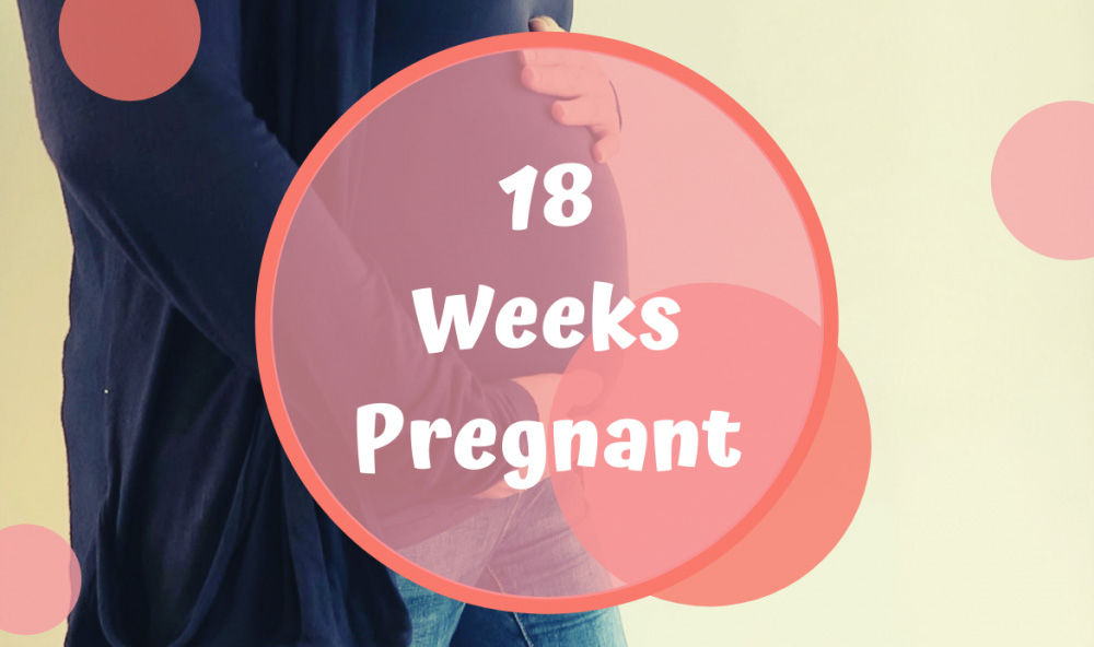 هفته هجدهم بارداری